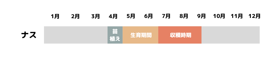 ナスの栽培時期の説明画像