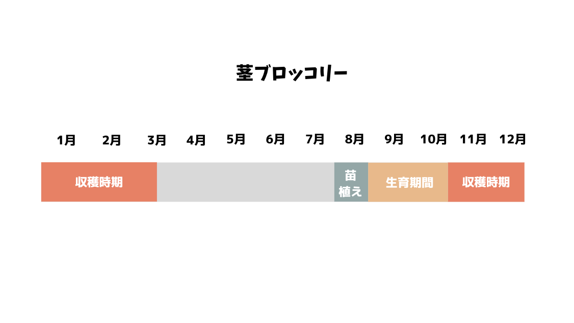 茎ブロッコリー栽培時期の画像